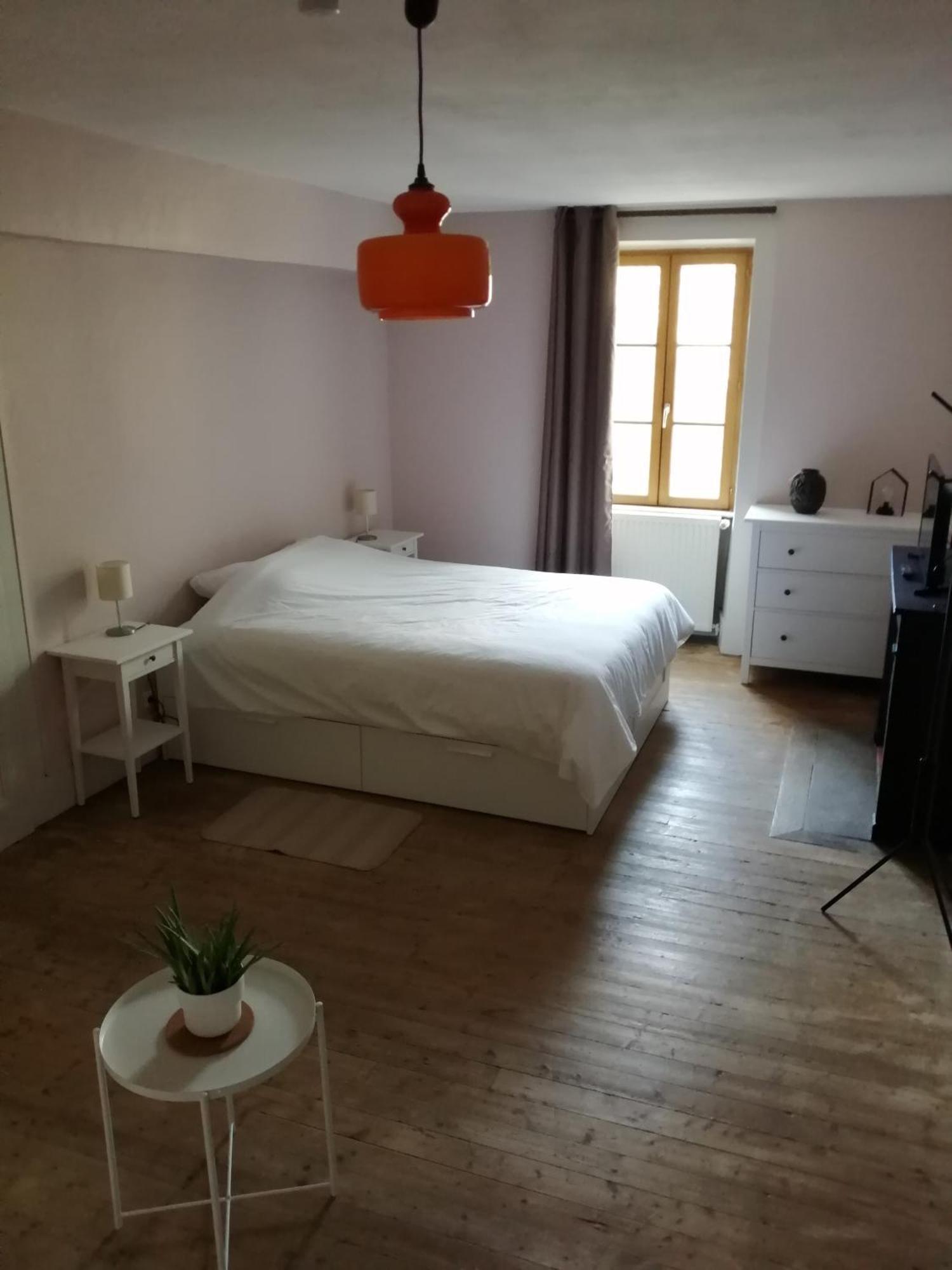 Appartamento A La Halte Des Gorges Nevy-Sur-Seille Esterno foto